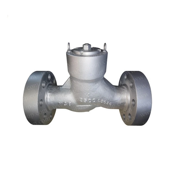 High Pressure Lift Check Valve